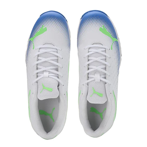 puma spike 22.2 cricket shoe